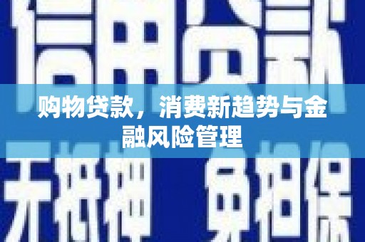 金华购物贷款，消费新趋势与金融风险管理