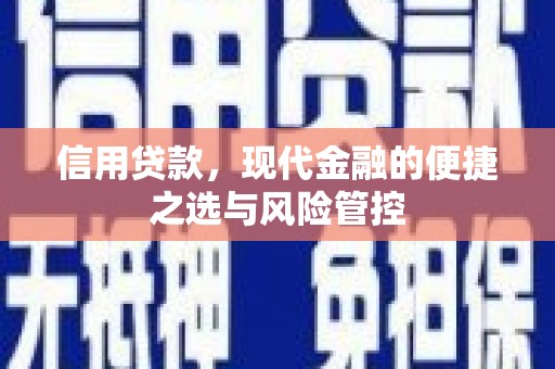 金华信用贷款，现代金融的便捷之选与风险管控