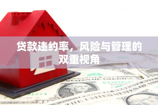 金华贷款违约率，风险与管理的双重视角