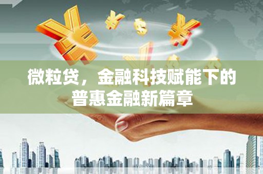 金华微粒贷，金融科技赋能下的普惠金融新篇章