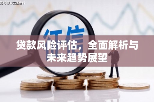 金华贷款风险评估，全面解析与未来趋势展望