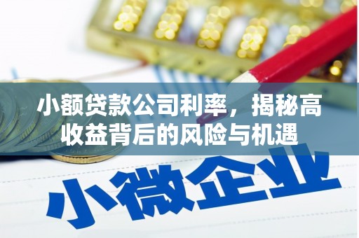 金华小额贷款公司利率，揭秘高收益背后的风险与机遇