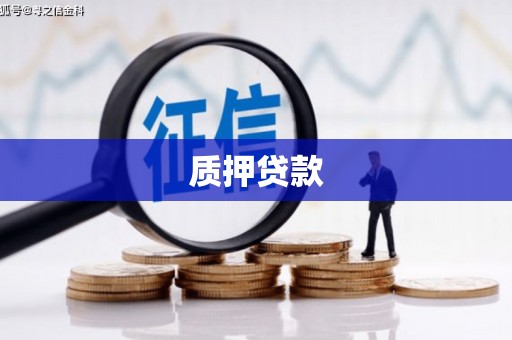 金华质押贷款
