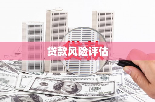 金华贷款风险评估