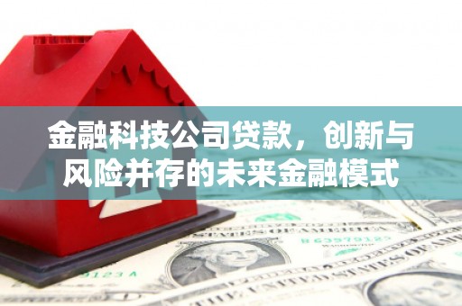 金华金融科技公司贷款，创新与风险并存的未来金融模式