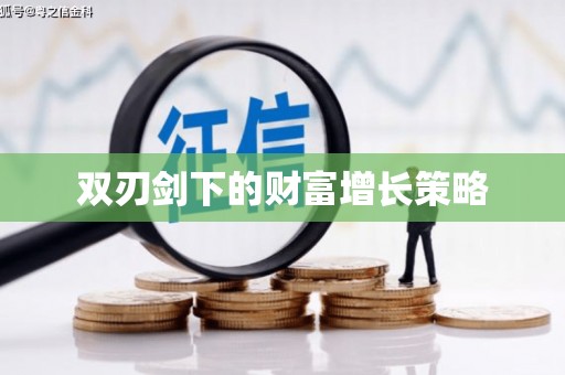 金华双刃剑下的财富增长策略