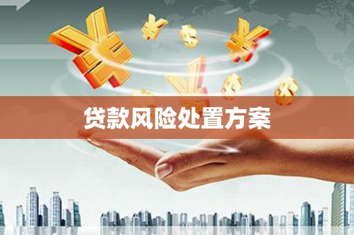 金华贷款风险处置方案