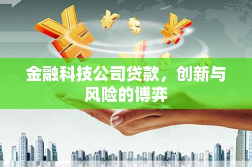 金华金融科技公司贷款，创新与风险的博弈