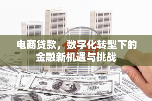 金华电商贷款，数字化转型下的金融新机遇与挑战
