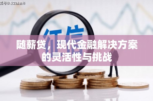 金华随薪贷，现代金融解决方案的灵活性与挑战