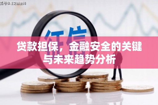 金华贷款担保，金融安全的关键与未来趋势分析