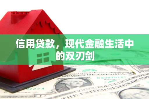 金华信用贷款，现代金融生活中的双刃剑