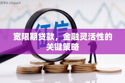 金华宽限期贷款，金融灵活性的关键策略