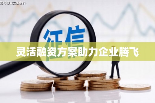 金华灵活融资方案助力企业腾飞