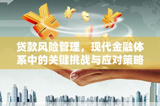 金华贷款风险管理，现代金融体系中的关键挑战与应对策略