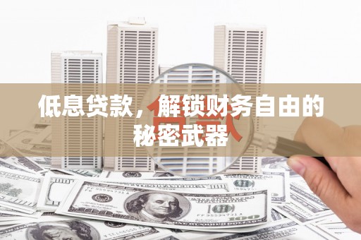 金华低息贷款，解锁财务自由的秘密武器