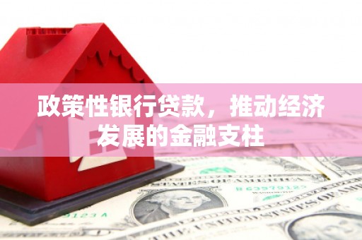 金华政策性银行贷款，推动经济发展的金融支柱