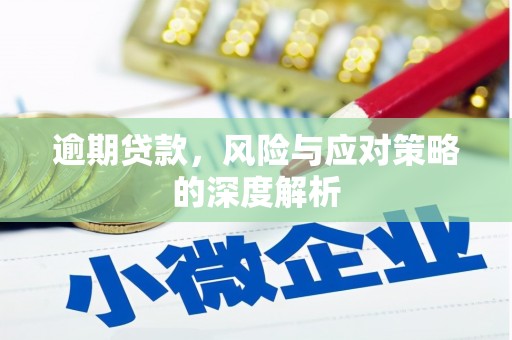 金华逾期贷款，风险与应对策略的深度解析