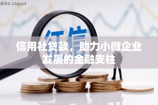 金华信用社贷款，助力小微企业发展的金融支柱