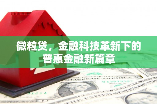 金华微粒贷，金融科技革新下的普惠金融新篇章