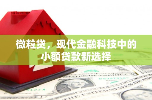 金华微粒贷，现代金融科技中的小额贷款新选择