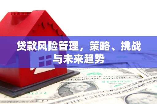 金华贷款风险管理，策略、挑战与未来趋势