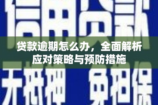 金华贷款逾期怎么办，全面解析应对策略与预防措施