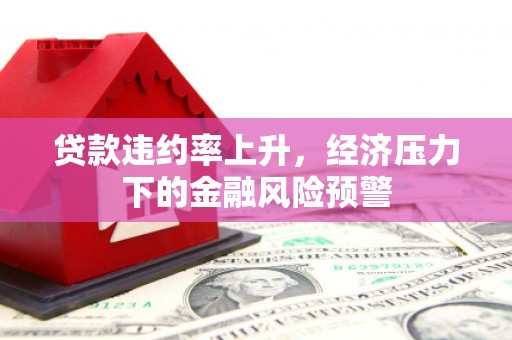 金华贷款违约率上升，经济压力下的金融风险预警