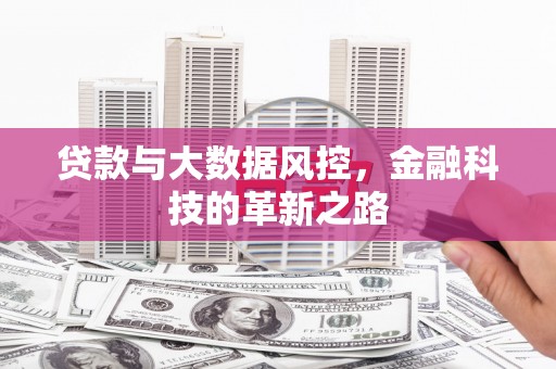 金华贷款与大数据风控，金融科技的革新之路