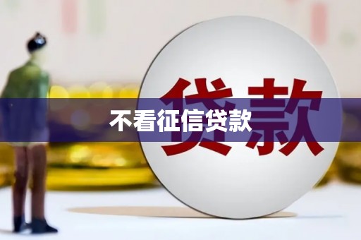 金华不看征信贷款