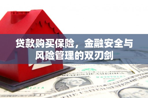 金华贷款购买保险，金融安全与风险管理的双刃剑