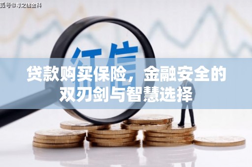 金华贷款购买保险，金融安全的双刃剑与智慧选择