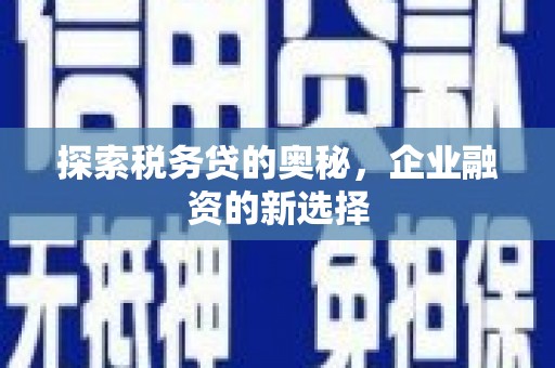 金华探索税务贷的奥秘，企业融资的新选择
