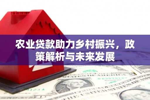 金华农业贷款助力乡村振兴，政策解析与未来发展