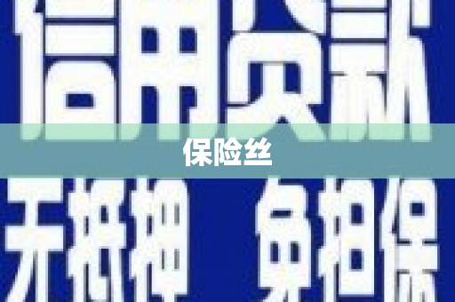 金华保险丝