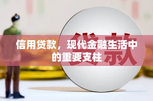金华信用贷款，现代金融生活中的重要支柱