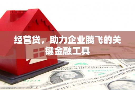 金华经营贷，助力企业腾飞的关键金融工具