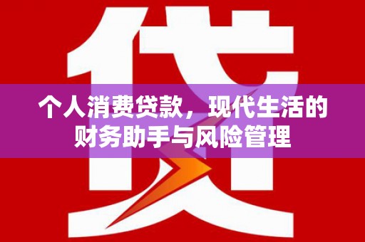 金华个人消费贷款，现代生活的财务助手与风险管理