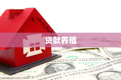 金华贷款养殖