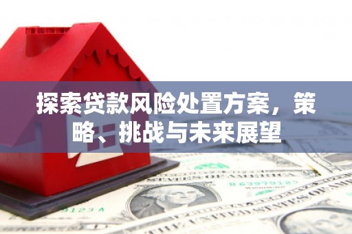 金华探索贷款风险处置方案，策略、挑战与未来展望