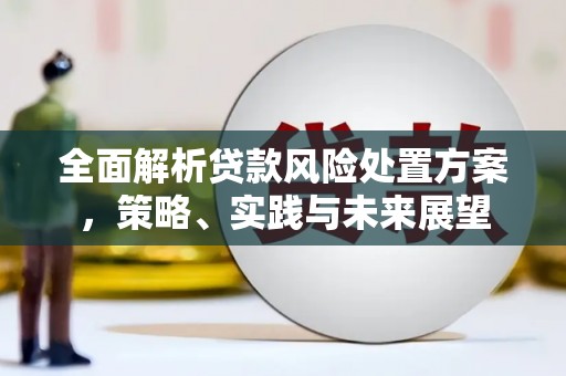 金华全面解析贷款风险处置方案，策略、实践与未来展望