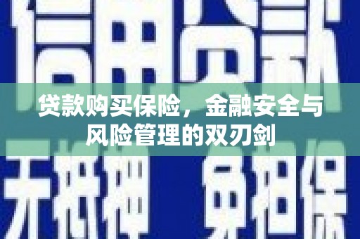 金华贷款购买保险，金融安全与风险管理的双刃剑