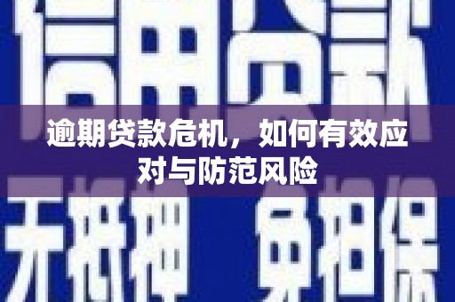 金华逾期贷款危机，如何有效应对与防范风险