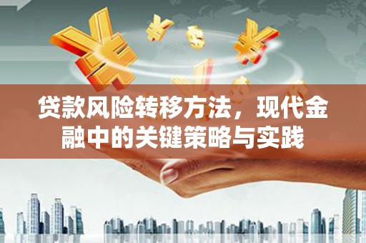 金华贷款风险转移方法，现代金融中的关键策略与实践