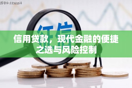 金华信用贷款，现代金融的便捷之选与风险控制