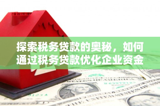 金华探索税务贷款的奥秘，如何通过税务贷款优化企业资金流