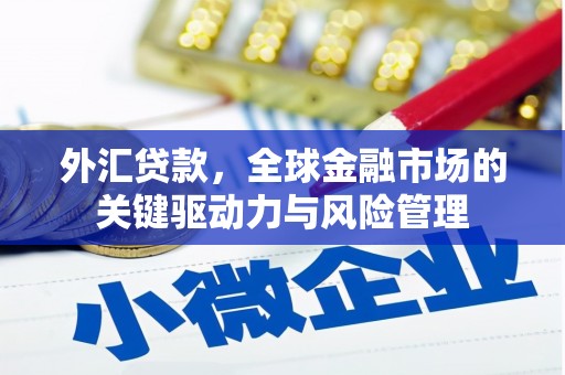 金华外汇贷款，全球金融市场的关键驱动力与风险管理