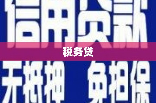 金华税务贷