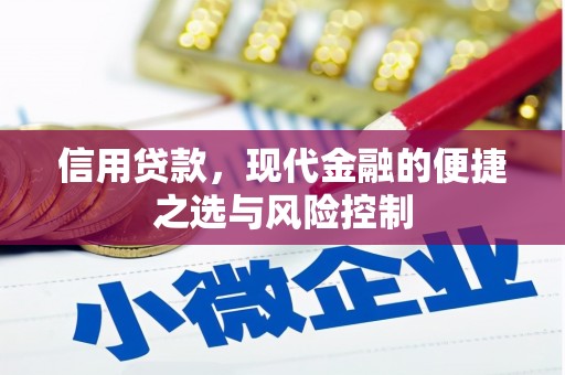 金华信用贷款，现代金融的便捷之选与风险控制