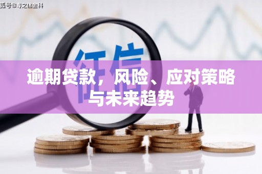 金华逾期贷款，风险、应对策略与未来趋势